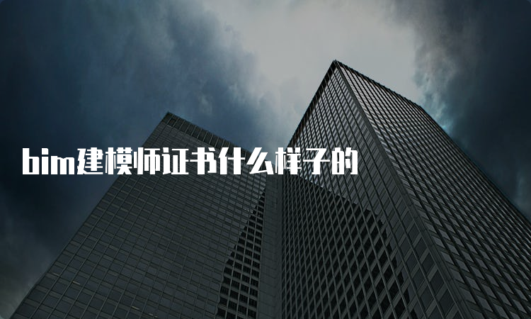 bim建模师证书什么样子的