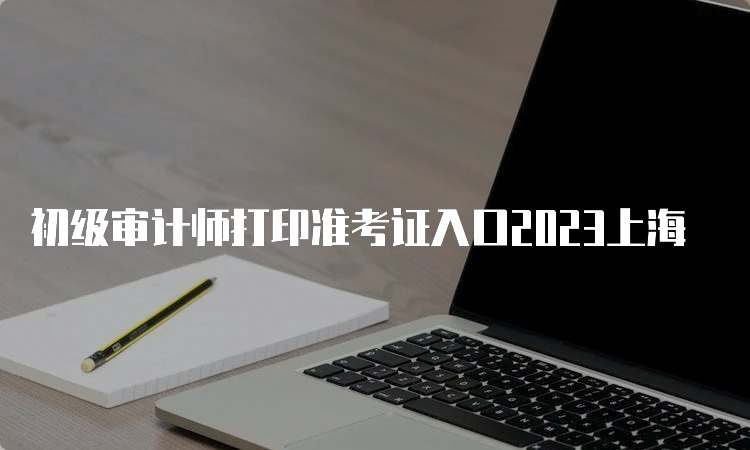 初级审计师打印准考证入口2023上海