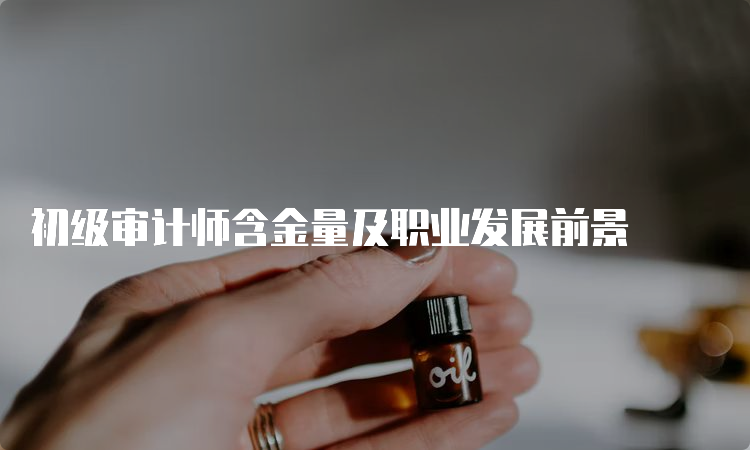 初级审计师含金量及职业发展前景