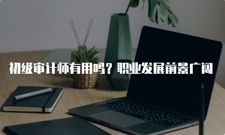 初级审计师有用吗？职业发展前景广阔