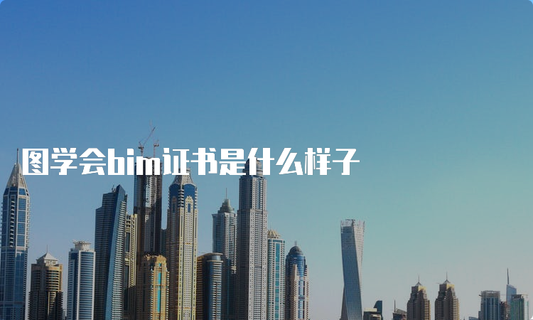 图学会bim证书是什么样子