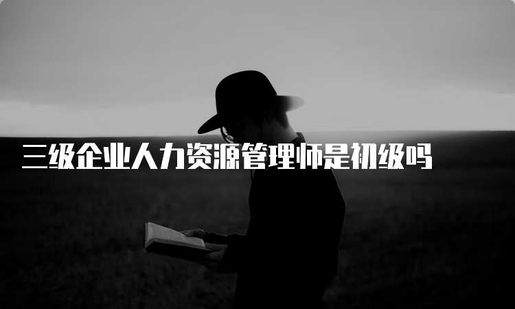 三级企业人力资源管理师是初级吗