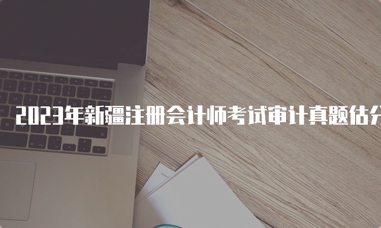 2023年新疆注册会计师考试审计真题估分入口