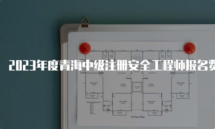 2023年度青海中级注册安全工程师报名费用是多少？