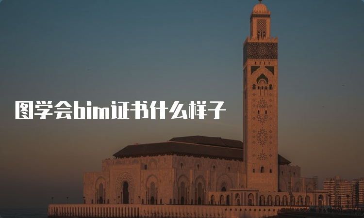 图学会bim证书什么样子