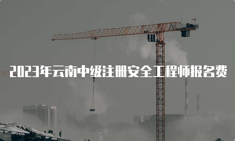 2023年云南中级注册安全工程师报名费