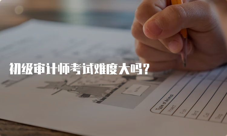 初级审计师考试难度大吗？