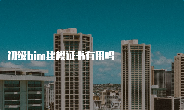 初级bim建模证书有用吗