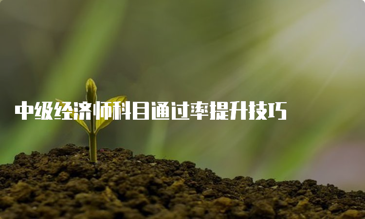 中级经济师科目通过率提升技巧