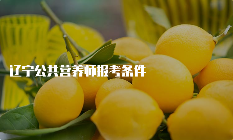 辽宁公共营养师报考条件