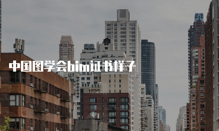 中国图学会bim证书样子