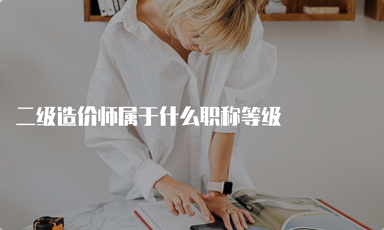 二级造价师属于什么职称等级