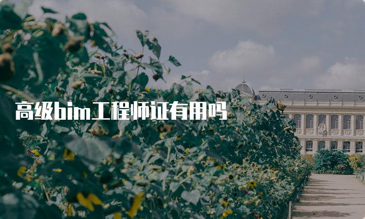 高级bim工程师证有用吗