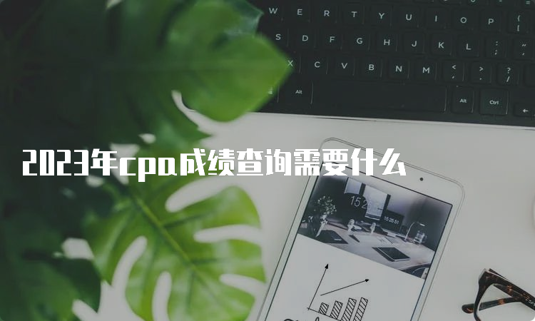 2023年cpa成绩查询需要什么