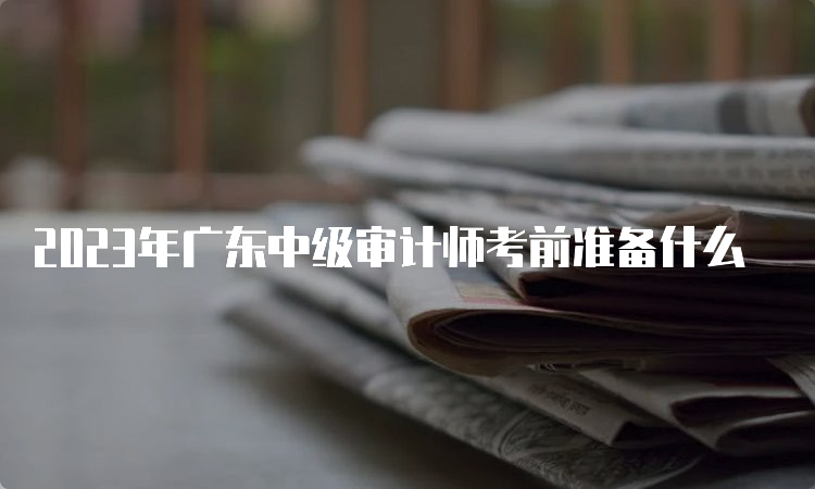 2023年广东中级审计师考前准备什么