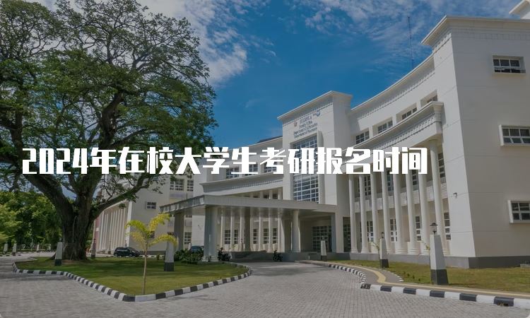 2024年在校大学生考研报名时间