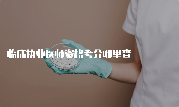 临床执业医师资格考分哪里查