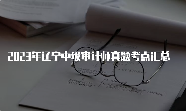 2023年辽宁中级审计师真题考点汇总