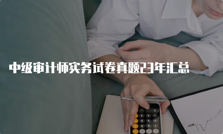  中级审计师实务试卷真题23年汇总