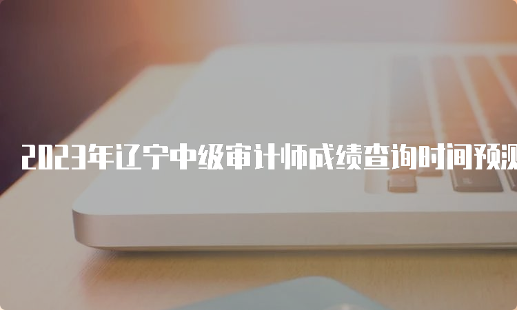 2023年辽宁中级审计师成绩查询时间预测