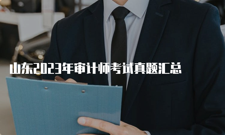 山东2023年审计师考试真题汇总