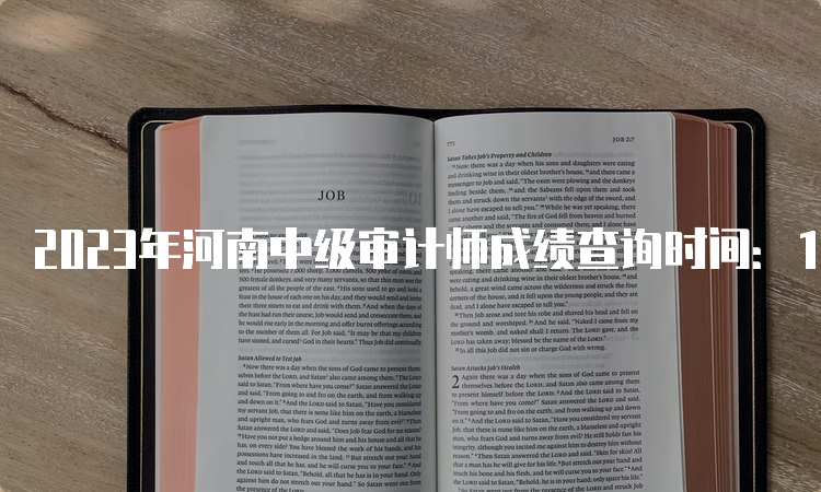 2023年河南中级审计师成绩查询时间：12月份