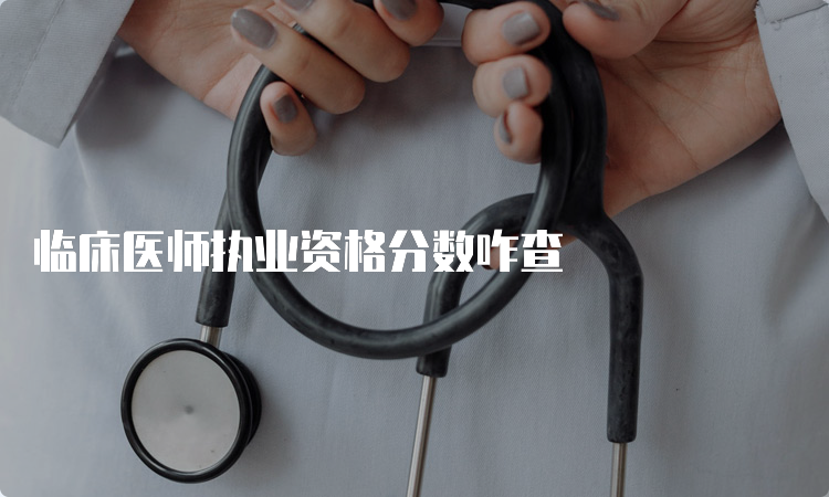 临床医师执业资格分数咋查