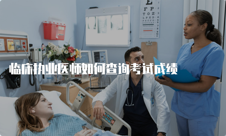 临床执业医师如何查询考试成绩