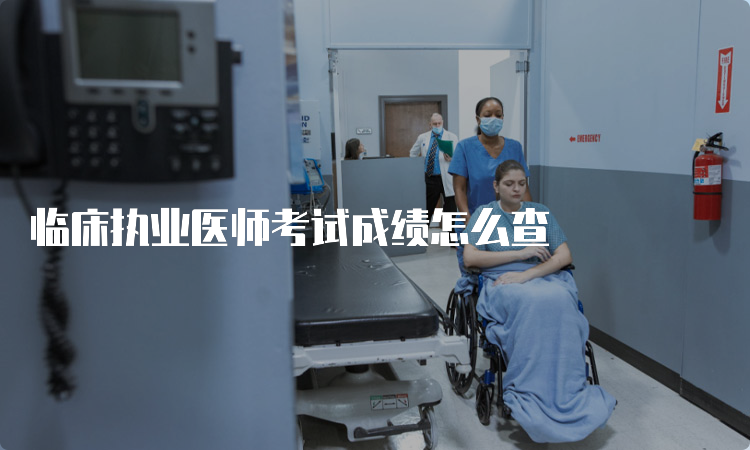 临床执业医师考试成绩怎么查