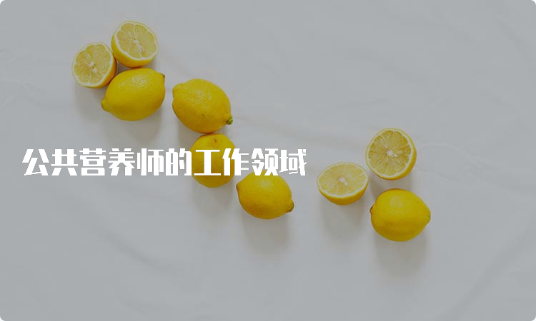 公共营养师的工作领域