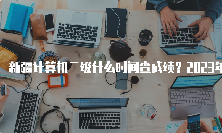 新疆计算机二级什么时间查成绩？2023年最新查询时间发布！