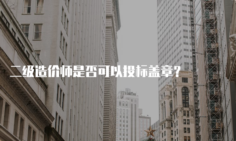 二级造价师是否可以投标盖章？