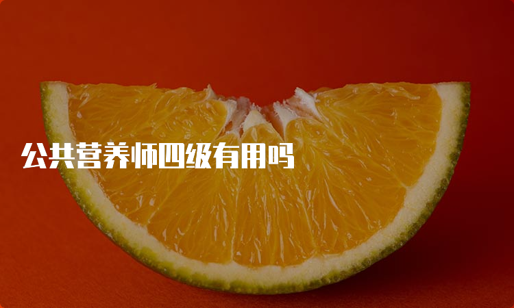 公共营养师四级有用吗