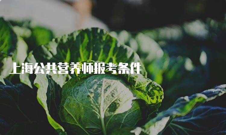 上海公共营养师报考条件