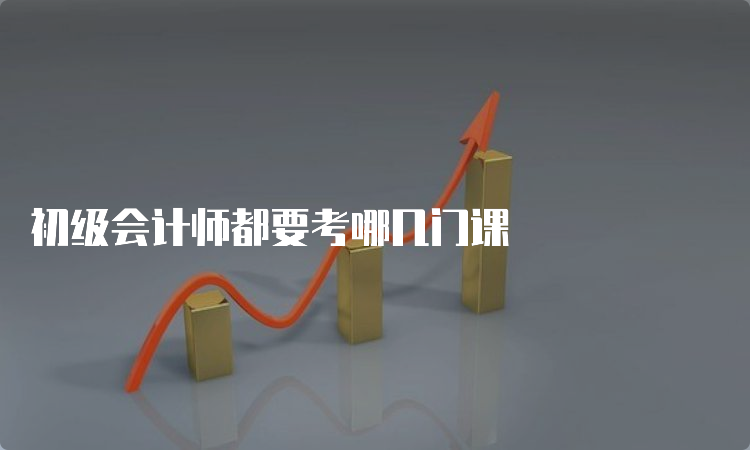 初级会计师都要考哪几门课