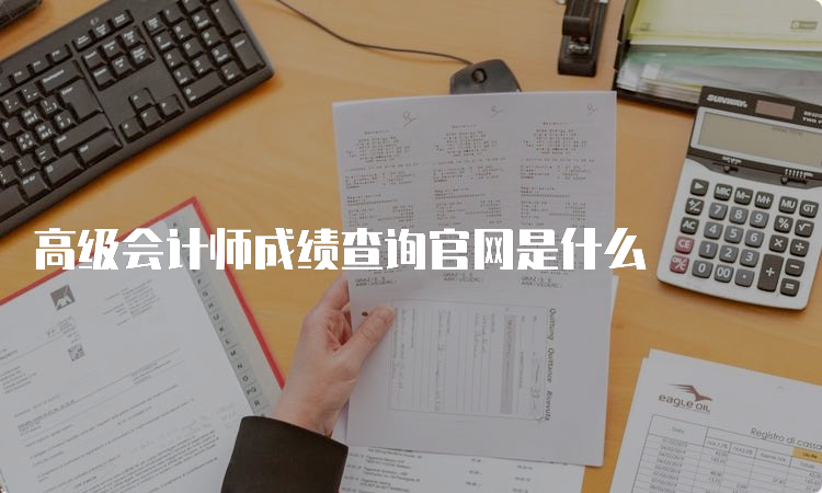 高级会计师成绩查询官网是什么