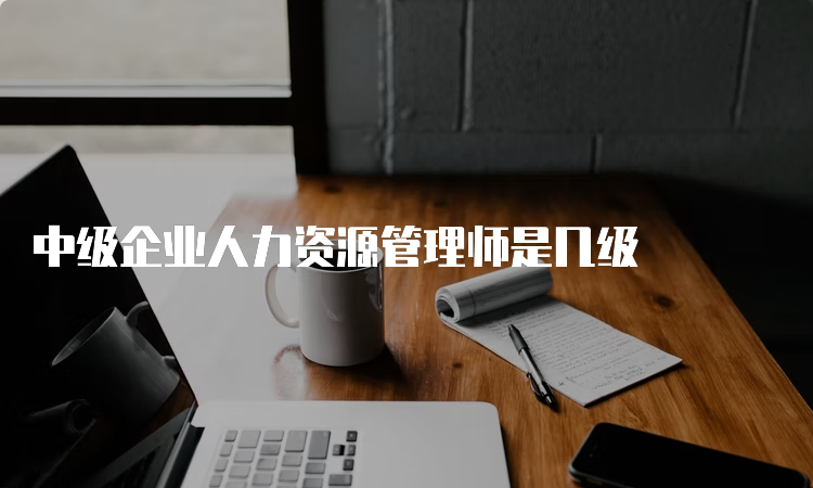 中级企业人力资源管理师是几级