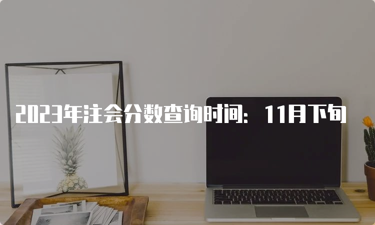 2023年注会分数查询时间：11月下旬