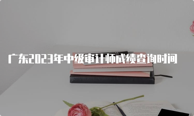 广东2023年中级审计师成绩查询时间