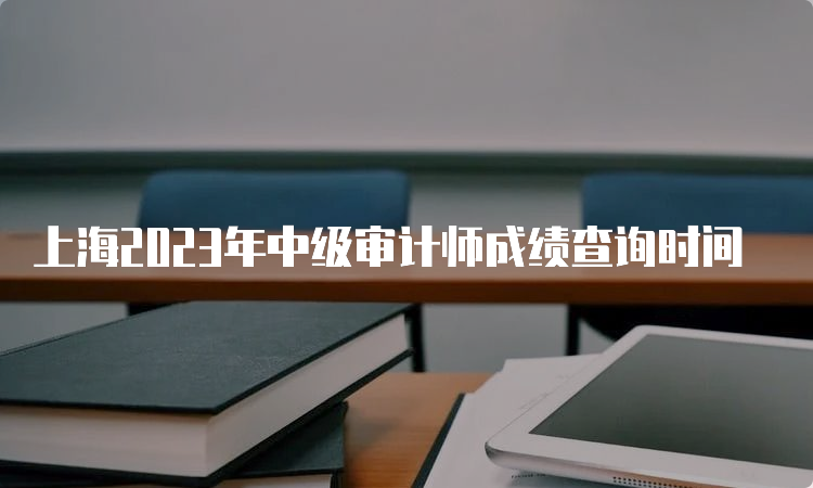 上海2023年中级审计师成绩查询时间